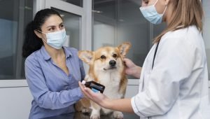 Patologia Cardiorrespiratória dos Animais Domésticos